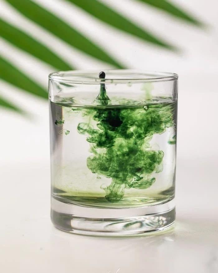 Chlorophyll
